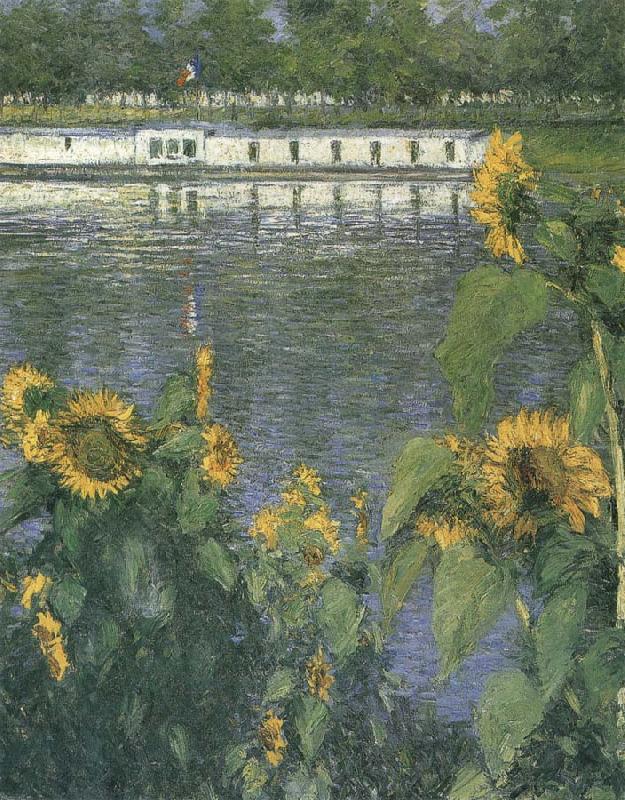 Gustave Caillebotte The sunflowers of waterside china oil painting image